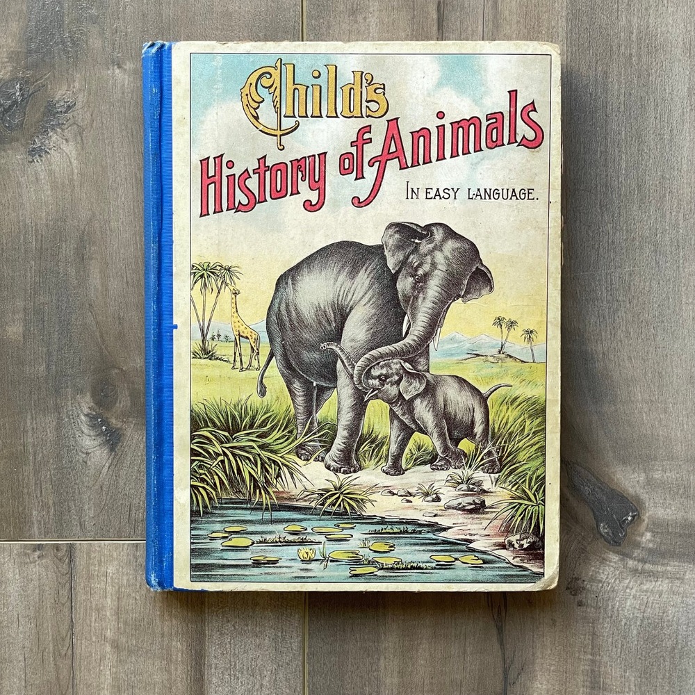 Child's History of Animals In Easy Language 1910 A. Hamming Hardcover Antique‎